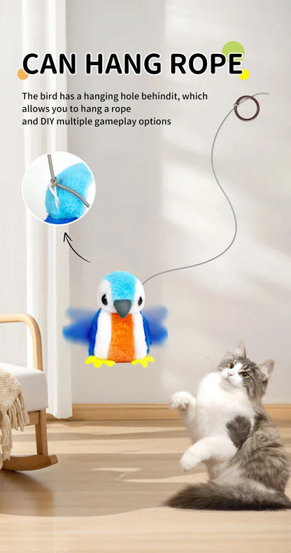 Interactive Cat Toys